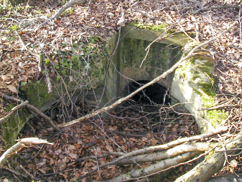 Ligne Maginot - CESARHOF 3 - (Cuve pour arme d'infanterie) - La tourelle se trouvait à cet endroit, au fond la galerie d'accès souterraine