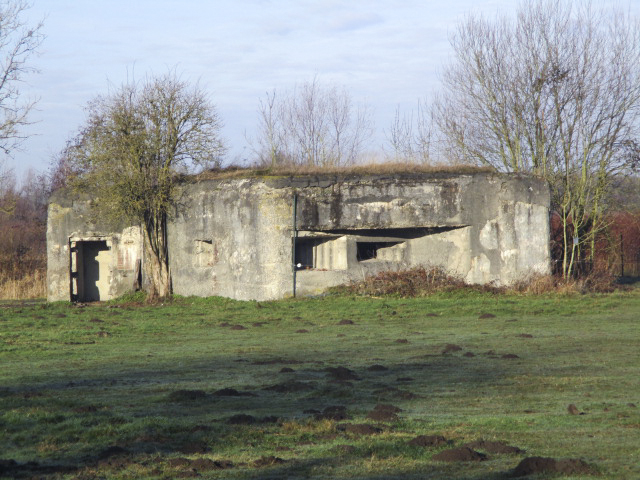 Ligne Maginot - A35 - RUBIS - (Blockhaus pour canon) - Situé dans un pré clôturé - Visible du Chemin Piré.