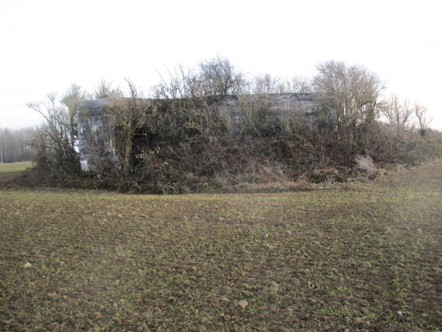 Ligne Maginot - A46 - GLAIEUL - (Blockhaus pour canon) - Blockhaus situé dans son environnement.