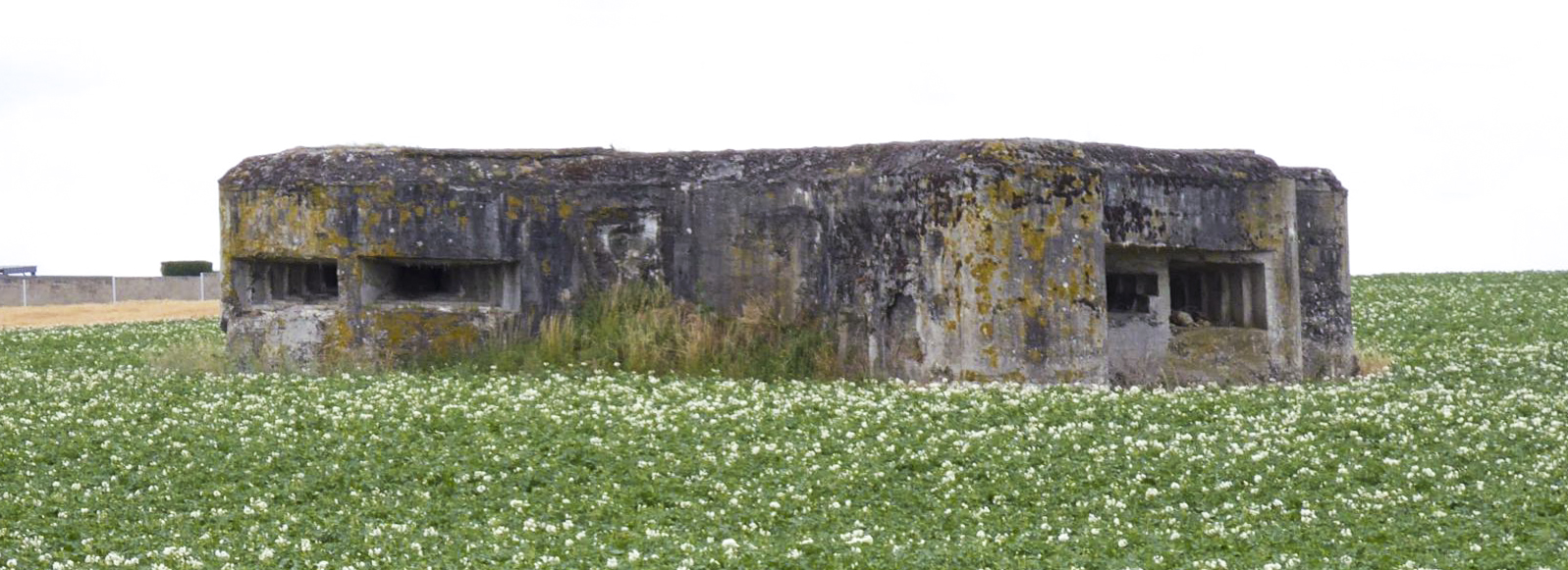 Ligne Maginot - A49 - GLYCINE - (Blockhaus pour canon) - Pris depuis le barrage de route des Godelins