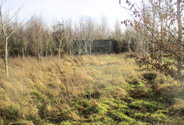 Ligne Maginot - A56 - LE LYS - (Blockhaus pour canon) - Ce blockhaus, situé à proximité d'un bosquet, est visible de la D 50a.