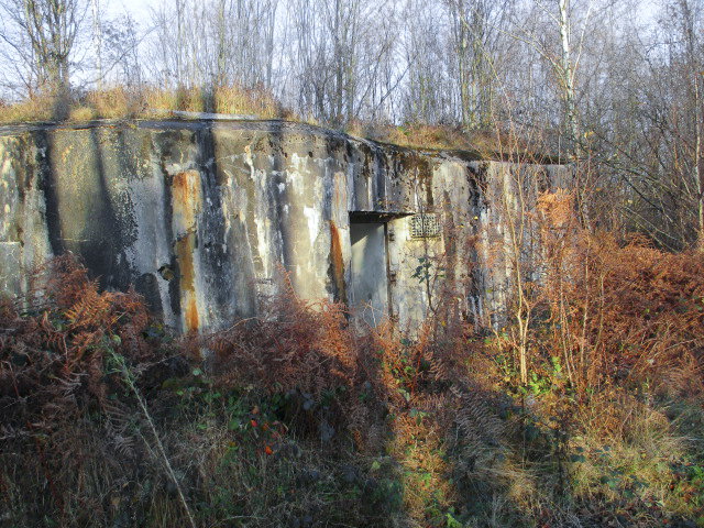 Ligne Maginot - HAUTE RIVE - C5 - (Casemate d'infanterie - double) - 