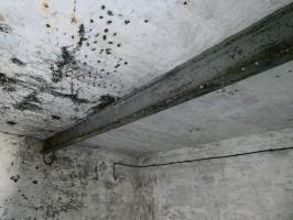 Ligne Maginot - GRANGES COMMUNES - (Ouvrage d'infanterie) - Bloc 1
IPN supportant un palan