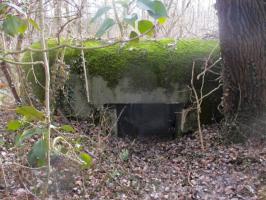 Ligne Maginot - B527 - MOULIN D'EN BAS SUD - (Blockhaus pour canon) - Blockhaus situé dans un bois.