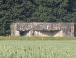 Ligne Maginot - A71 - MOULIN-RICHARD Est (Blockhaus pour canon) - Photo prise du chemin Delmer.