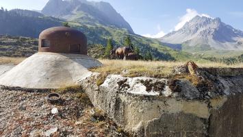Ligne Maginot - LAVOIR - (Ouvrage d'artillerie) - Bloc 5
Cloche GFM nord