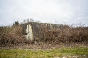Ligne Maginot - A89 - CIMETIERE D'ELESMES - (Blockhaus pour canon) - 