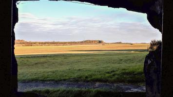 Ligne Maginot - BAMBIDERSTROFF NORD - C70 - (Casemate d'infanterie) - Vue depuis le créneau JM/47
L'ouvrage du Bambesch se trouve dans le bois en face