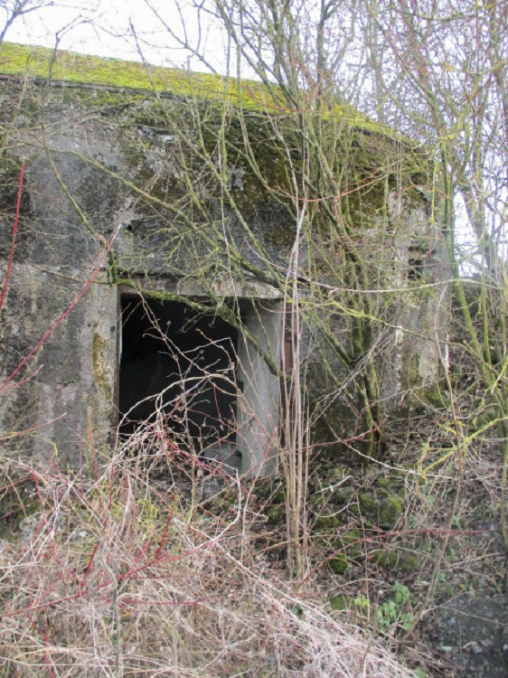 Ligne Maginot - B490 - CURGIES SUD-EST - (Blockhaus pour canon) - 