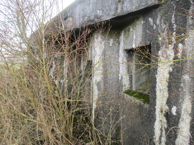 Ligne Maginot - B490 - CURGIES SUD-EST - (Blockhaus pour canon) - 