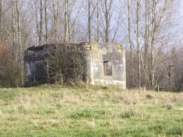 Ligne Maginot - B493 - TALANDIER SUD-EST (PDS) - (Abri actif) - Situé dans un pré clôturé, le blockhaus est visible du Chemin du Bois.