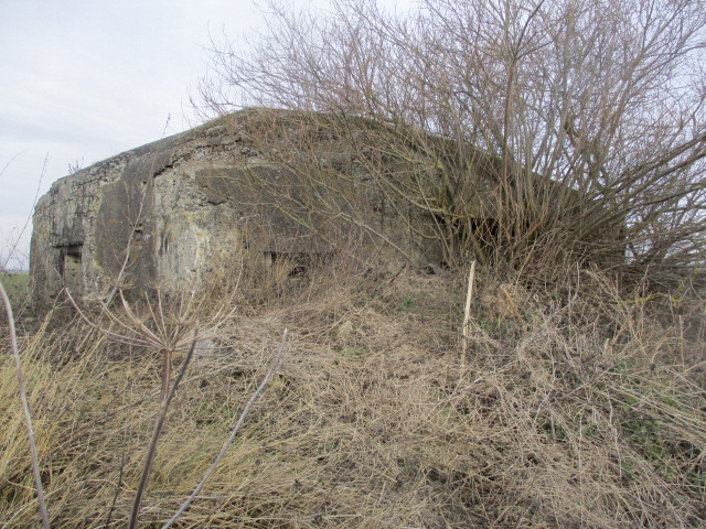 Ligne Maginot - B491 - NOTRE DAME - (Blockhaus pour canon) - Créneau Est