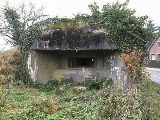 Ligne Maginot - B529 - BOIS DE LA FERRIERE SUD - (Blockhaus pour canon) - 