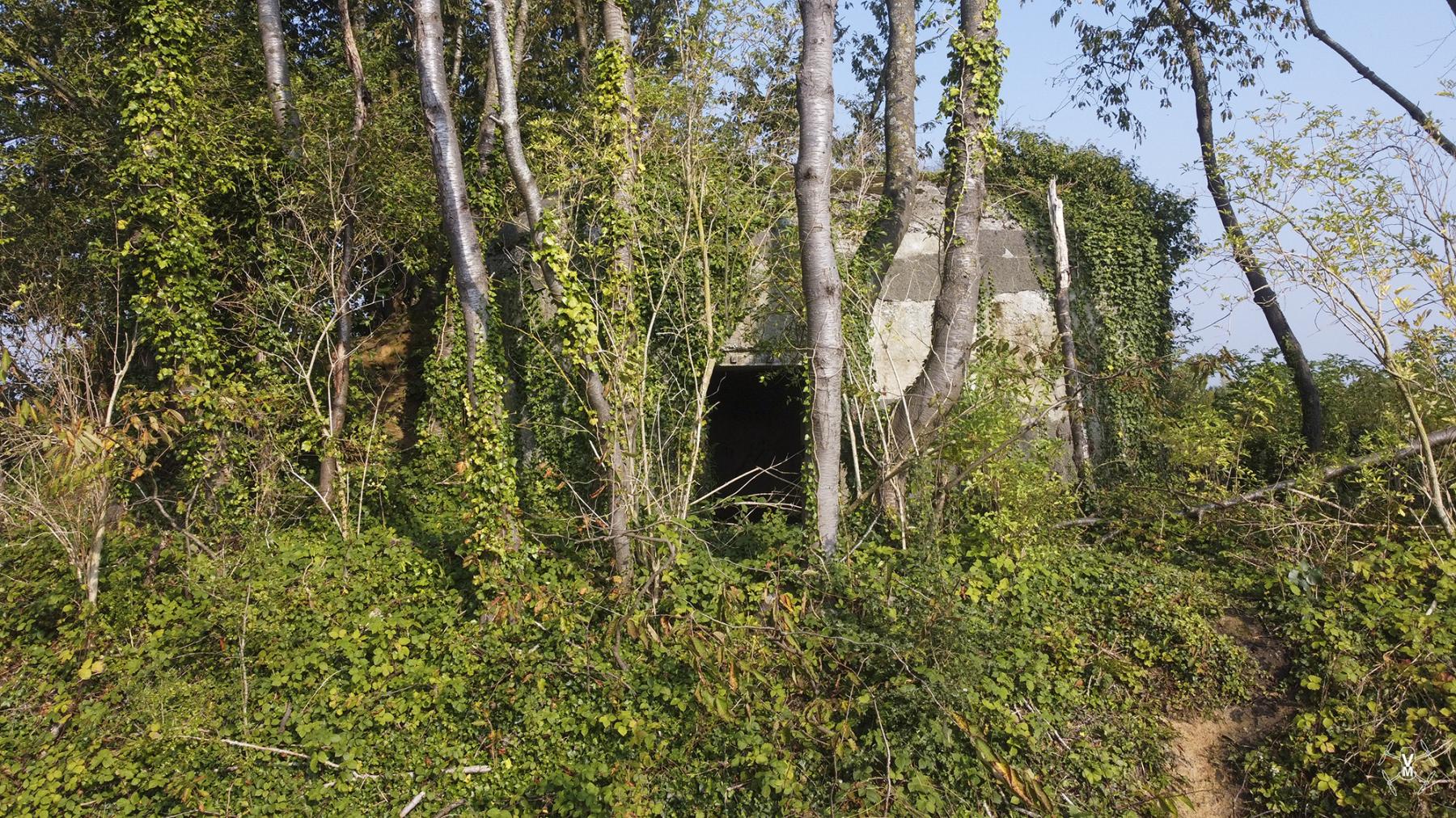Ligne Maginot - B492 - JENLAIN NORD - (Blockhaus pour canon) - 