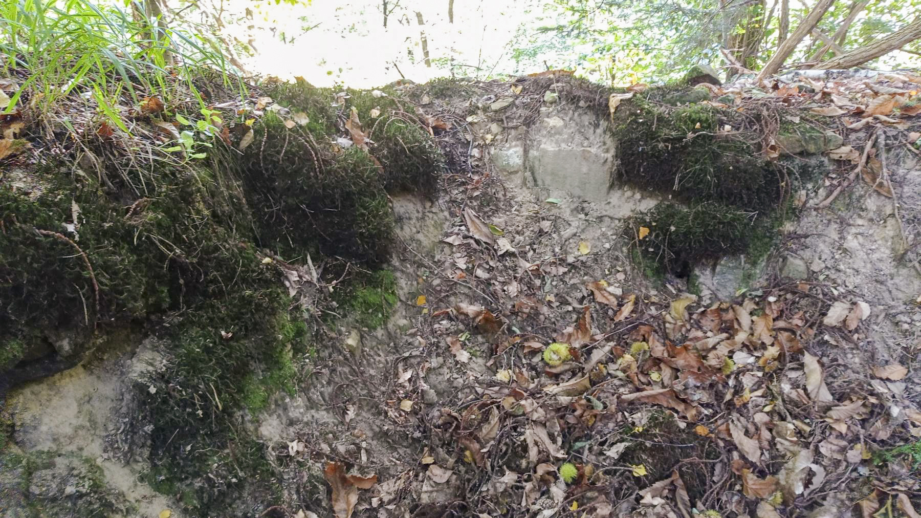 Ligne Maginot - HOCHWALD HAUT ARRIéRE - (Observatoire d'artillerie) - Observatoire sans sa guérite
Reste du rocaillage