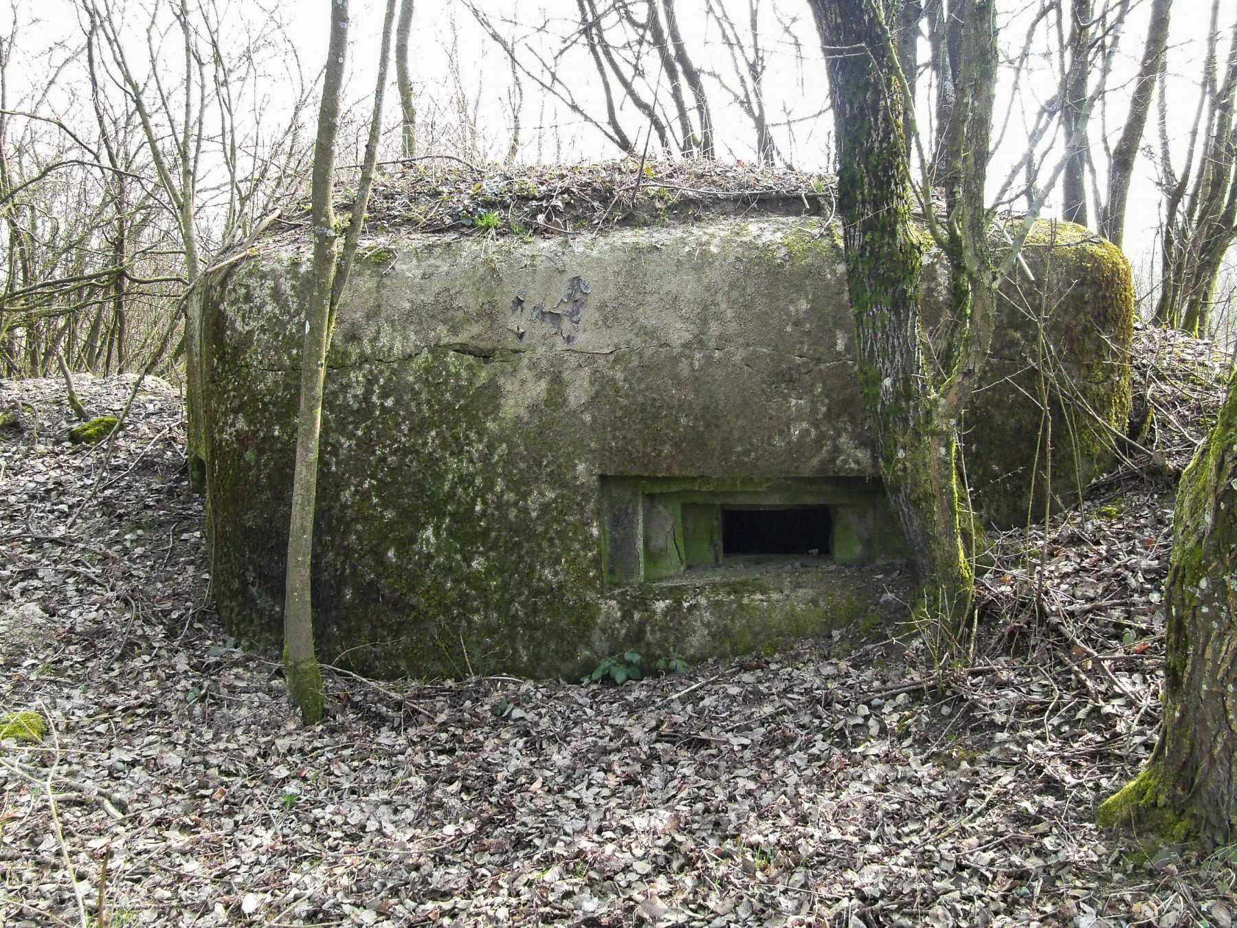 Ligne Maginot - FERME DES TUILERIES - BITCHERBERG 2 - (Blockhaus pour arme infanterie) - L'embrasure pour mitrailleuse Hotchkiss.
