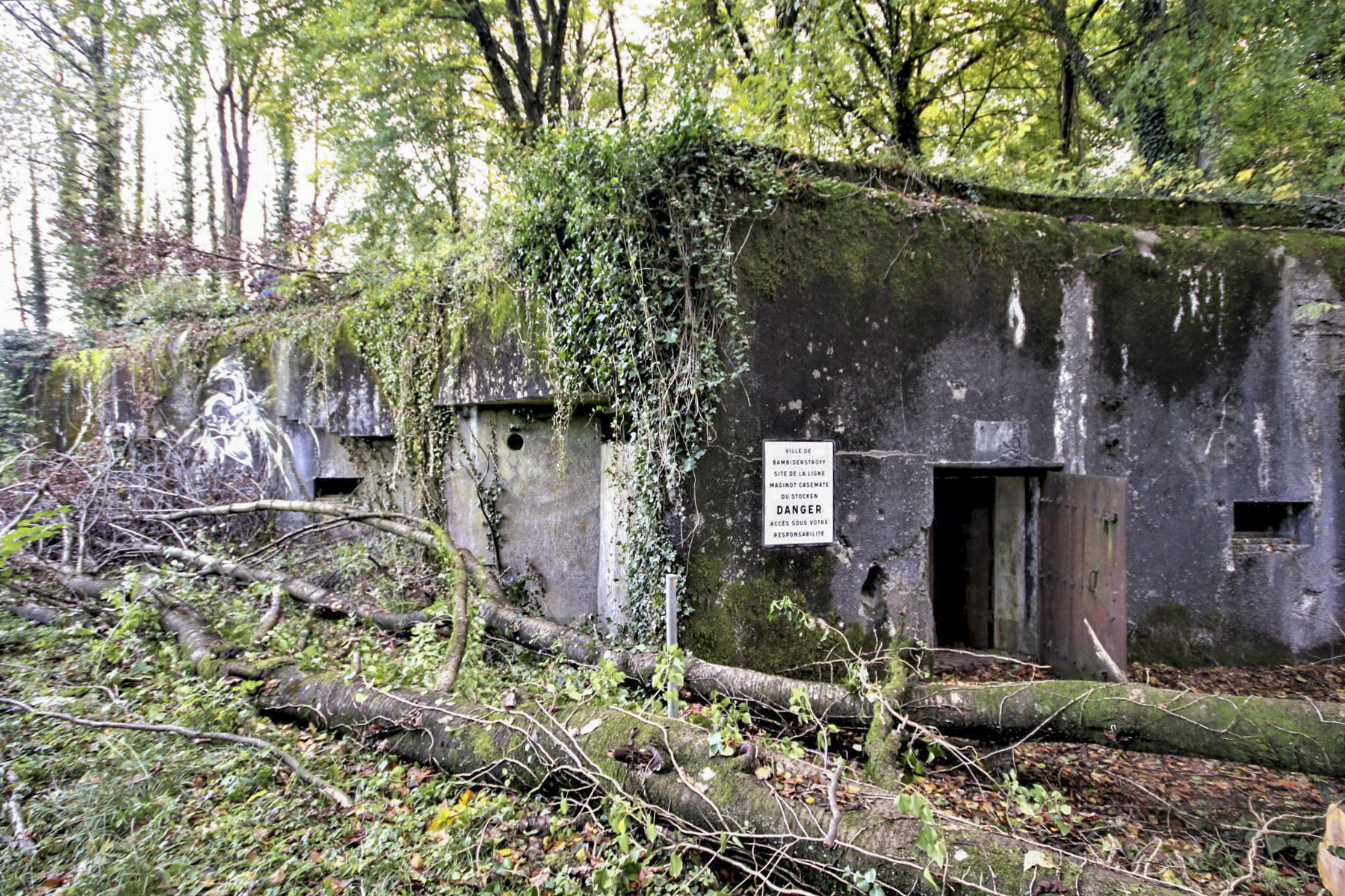 Ligne Maginot - ACA2 - STOCKEN - (Casemate d'artillerie) - La casemate n'est plus entretenu et la végétation à reprit le dessus