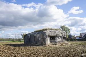 Ligne Maginot - B535 - BOIS-CRETE - (Blockhaus pour canon) - Le blockhaus coté Ouest