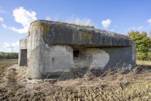 Ligne Maginot - B535 - BOIS-CRETE - (Blockhaus pour canon) - Le blockhaus coté Est