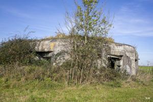 Ligne Maginot - B575 - CHEMIN DE BOIS-MADAME - (Blockhaus pour canon) - 