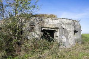 Ligne Maginot - B575 - CHEMIN DE BOIS-MADAME - (Blockhaus pour canon) - 