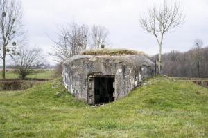 Ligne Maginot - B579 - LA QUEUE DE LANIERE - (Blockhaus pour canon) - 