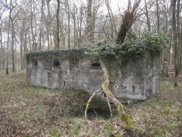 Ligne Maginot - RAUCOURT - (Stand de tir) - Le mur de tir pour armement de forteresse. Vue coté extérieur