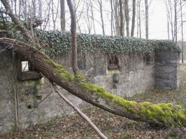 Ligne Maginot - RAUCOURT - (Stand de tir) - Le mur de tir pour armement de forteresse. Vue coté 'intérieur'