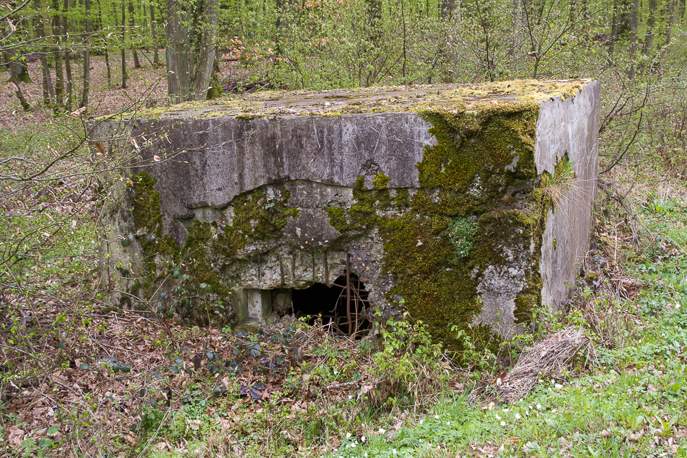 Ligne Maginot - KANFENER BUSCH 1 - (Blockhaus pour arme infanterie) - 
