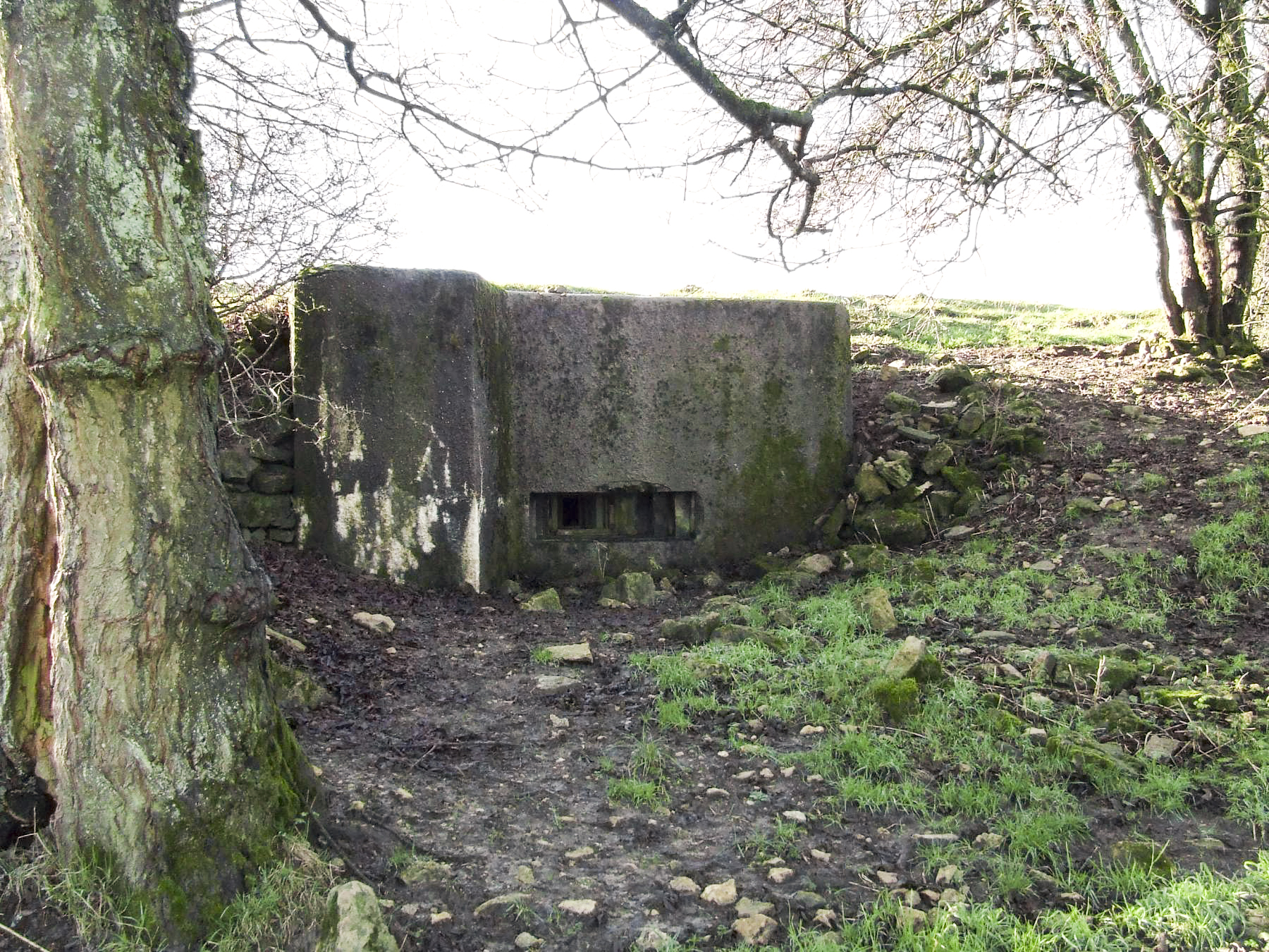 Ligne Maginot - AB7-D - BRANDSTUDEN  2 - (Blockhaus pour arme infanterie) - Le blockhaus