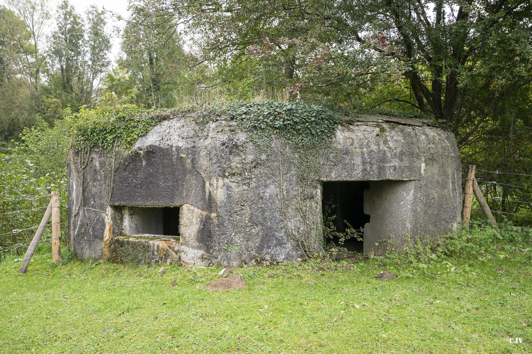 Ligne Maginot - B522 - L'AUNELLE NORD - (Blockhaus pour canon) - Entrée et créneaux nord-ouest