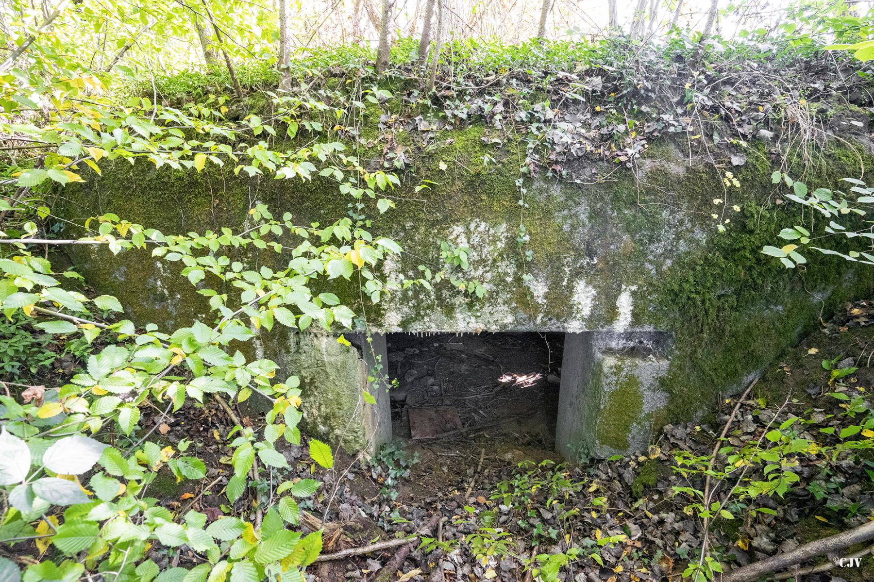 Ligne Maginot - B528 - BOIS DE LA FERRIERE NORD - (Blockhaus pour canon) - L'entrée