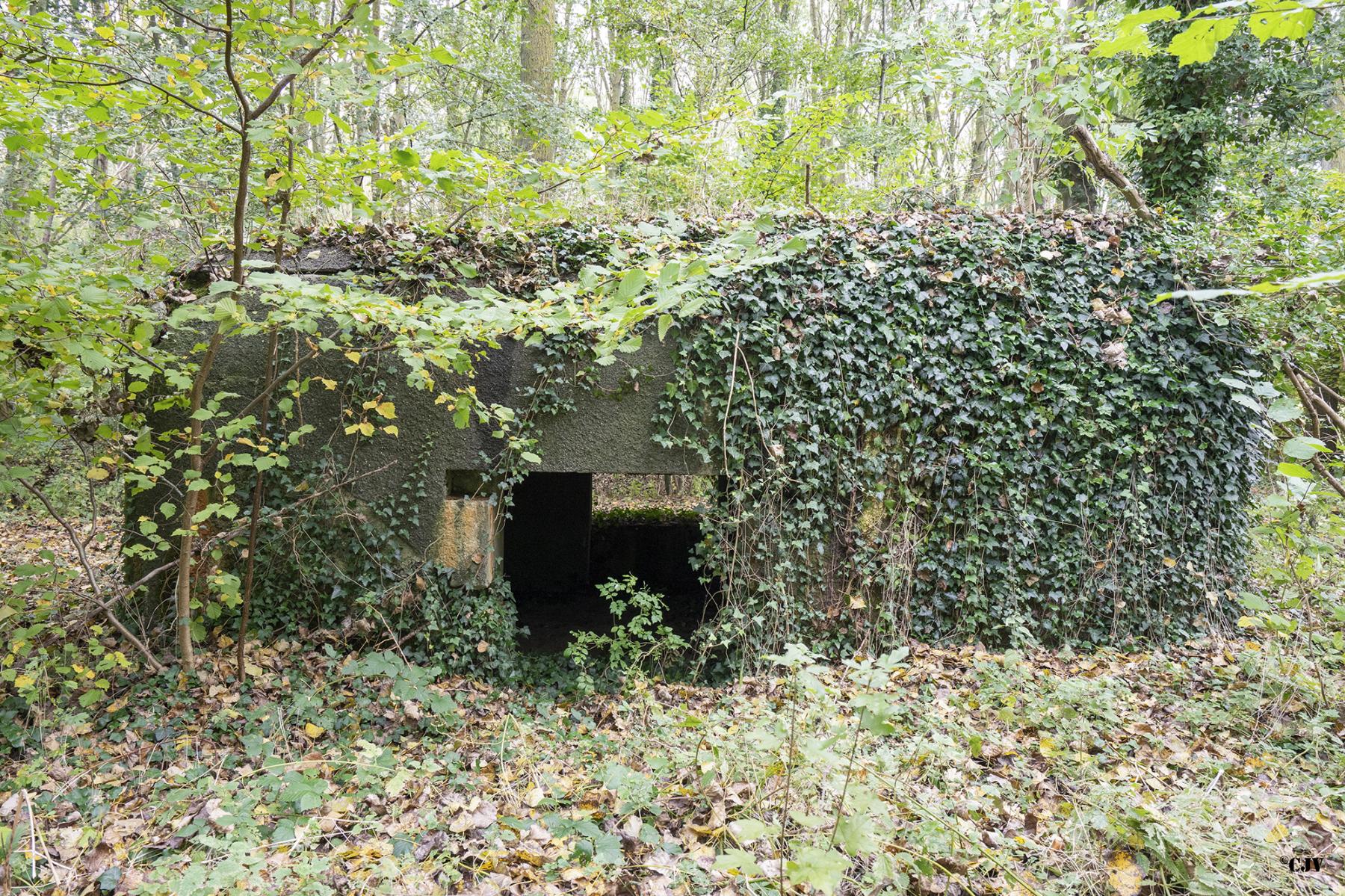 Ligne Maginot - B530 - QUELIPONT EST - (Blockhaus pour canon) - L'entrée