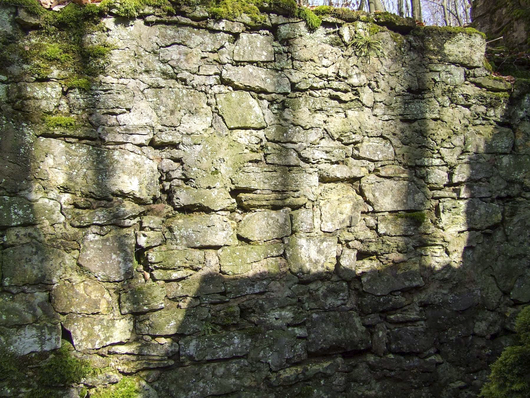 Ligne Maginot - BOIS DE PONTPIERRE (II/146° RIF) - (PC de Quartier) - Le mur en pierre de renforcement de la tranchée.