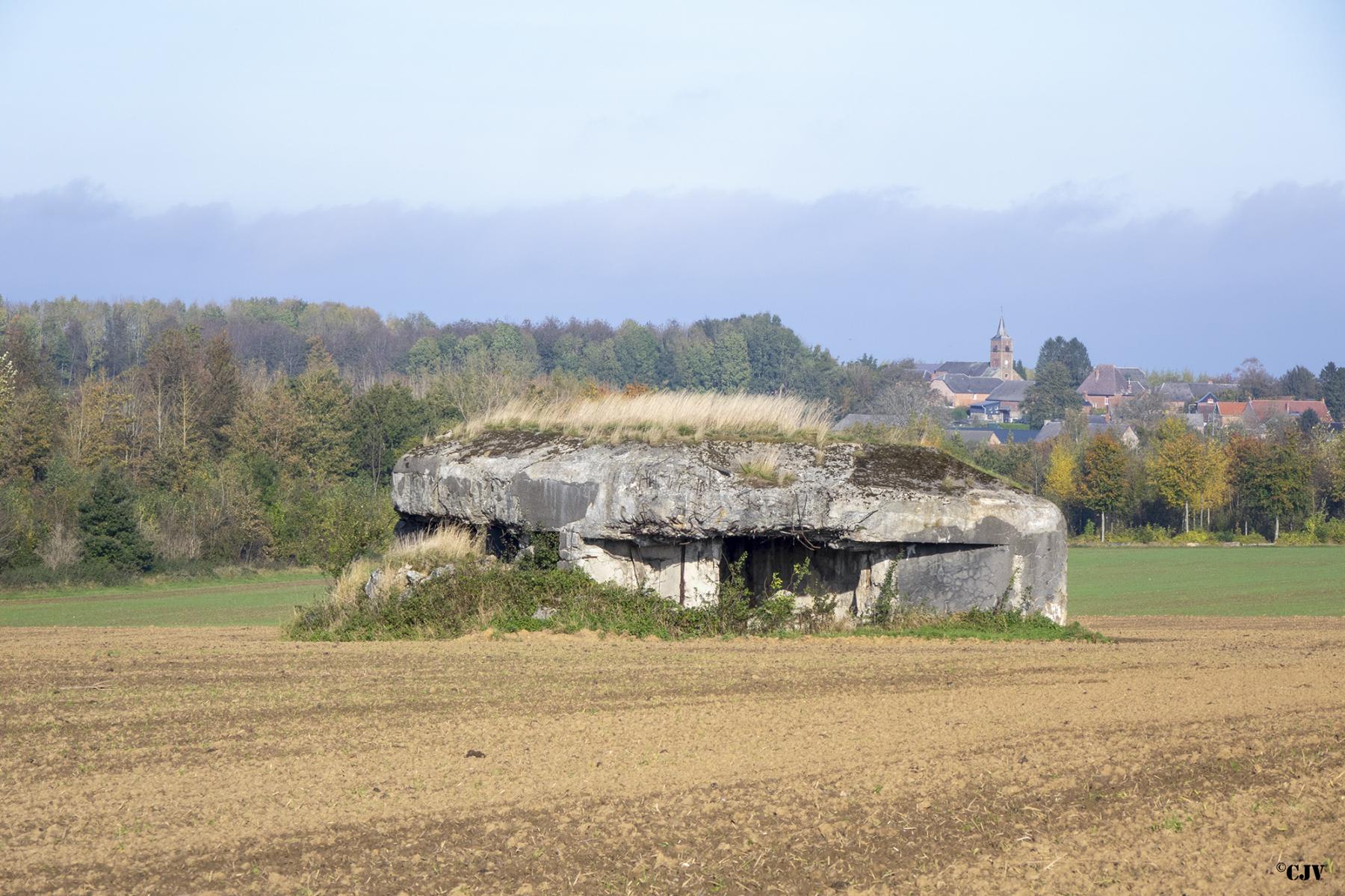 Ligne Maginot - B545 - SAINT WAAST LA VALLEE - (Blockhaus pour canon) - 