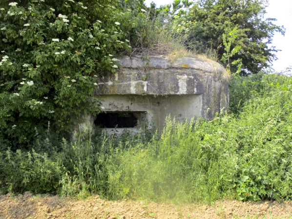 Ligne Maginot - B581 - La MAIN du BOIS (Blockhaus pour canon) - Situé dans son environnement.