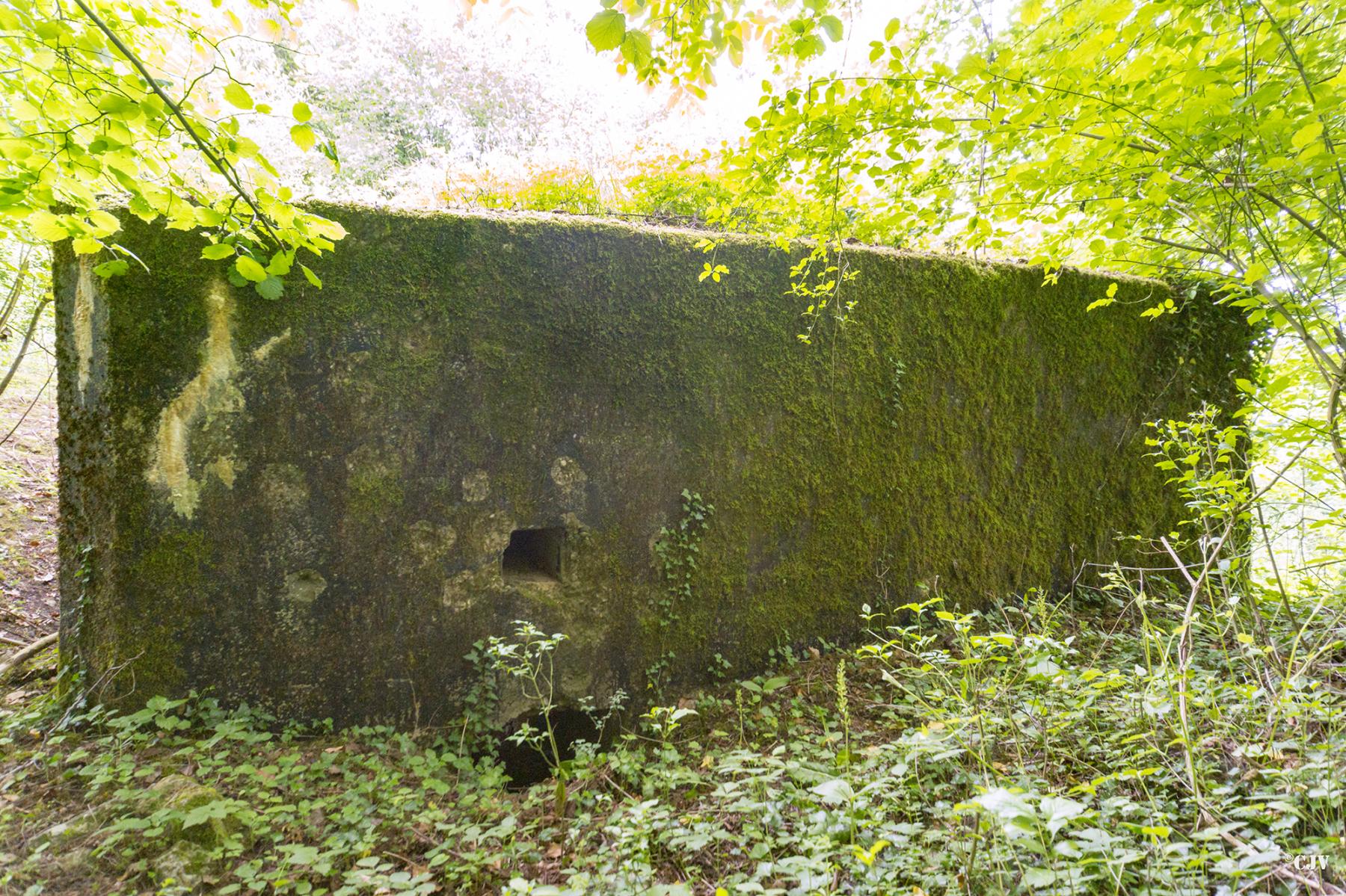 Ligne Maginot - ROUY 2 - (Blockhaus pour canon) - L'entrée des hommes