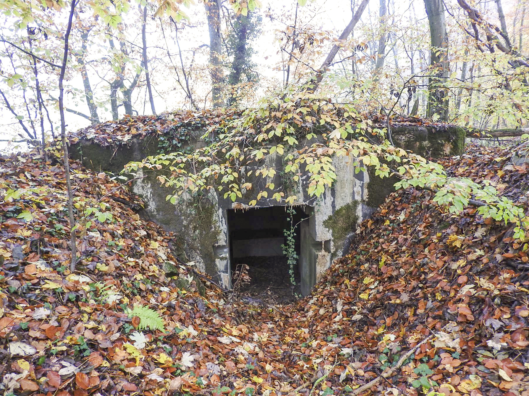 Ligne Maginot - STOCKEN 5 - (Blockhaus pour canon) - L'entrée matériel.
