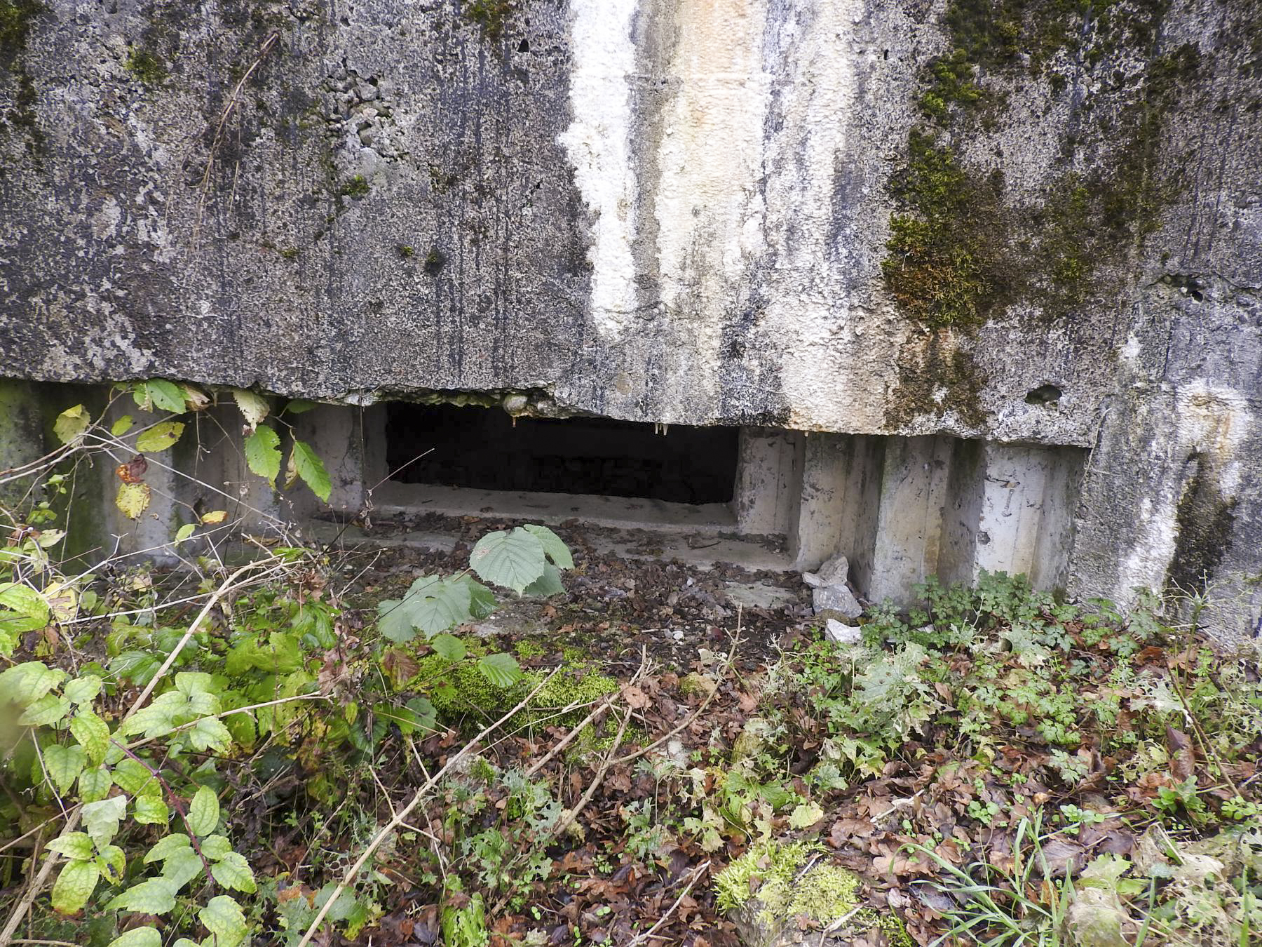 Ligne Maginot - GROSSEN FELD EST - (Blockhaus pour canon) - L'embrasure.