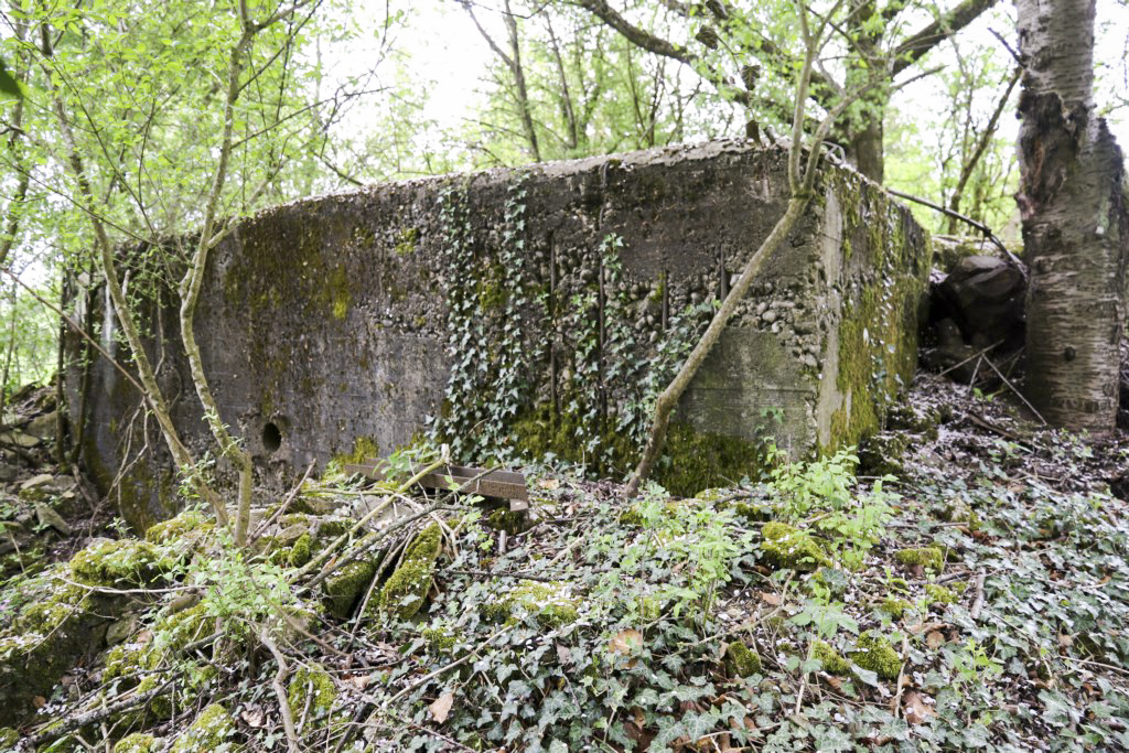 Ligne Maginot - GROSSEN FELD CENTRE - (Blockhaus de type indéterminé) - 