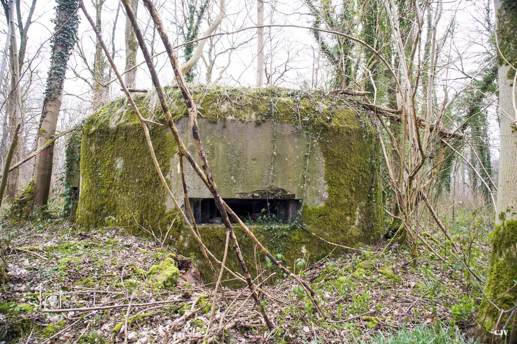 Ligne Maginot - B588 - BOIS DES LANIERES 1 - (Blockhaus pour canon) - 