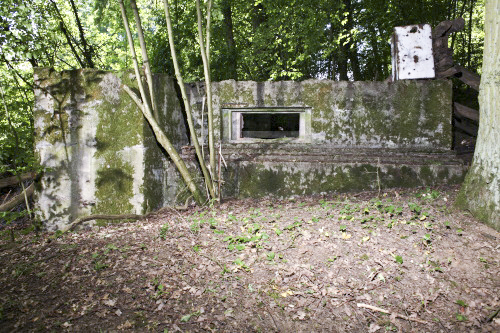 Ligne Maginot - CB273 - GENFER 1 - (Blockhaus pour canon) - Ce blockhaus n'a pas été achevé, contrairement à d'autres présents a proximité.