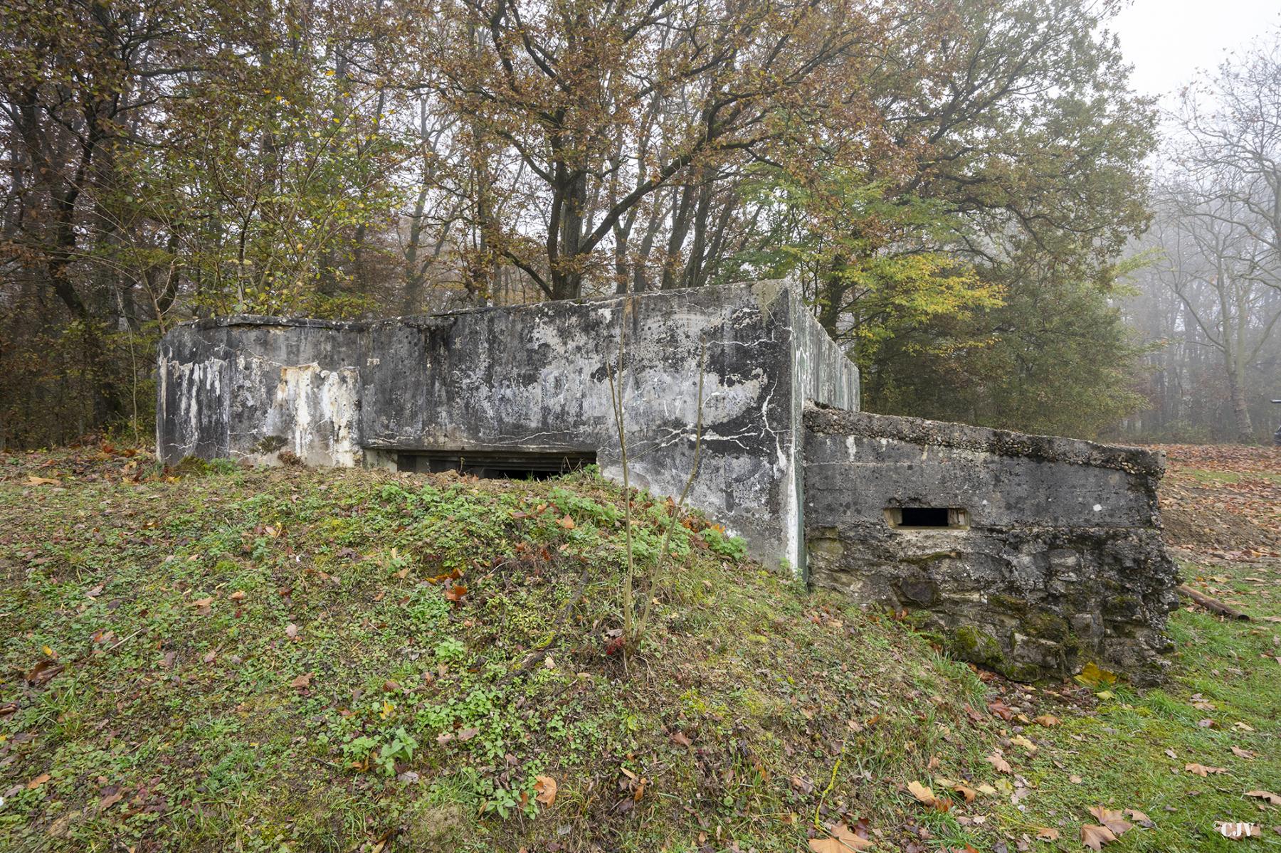 Ligne Maginot - CB299 - JUNGBUSCH - (Blockhaus pour canon) - Façade de tir
