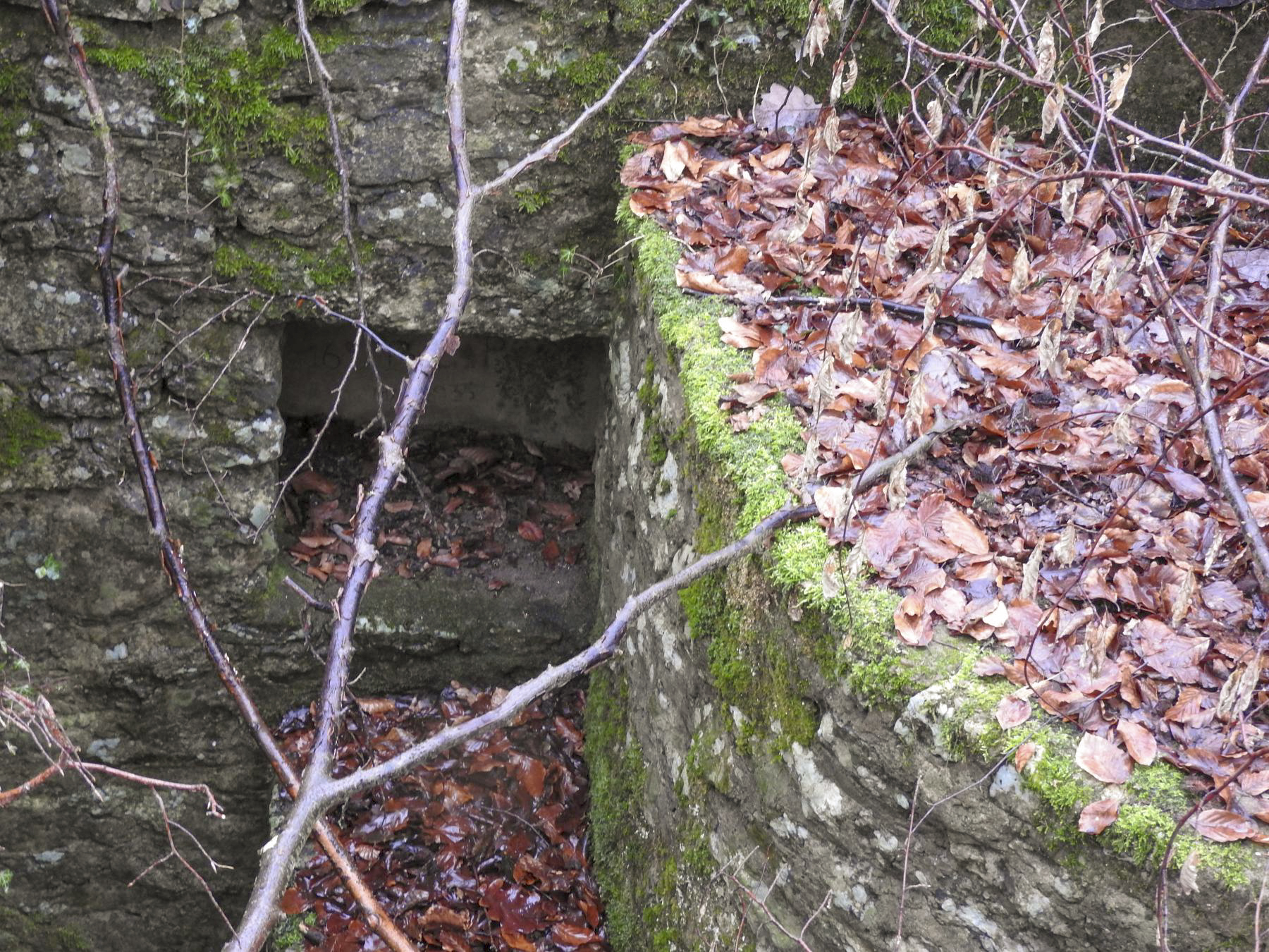 Ligne Maginot - GUNGLINGERBERG 6 - (Cuve pour arme d'infanterie) - La niche à munitions.