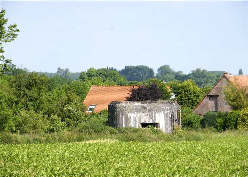 Ligne Maginot - B627 - CHAMP D'AVIATION - (Blockhaus pour canon) - 