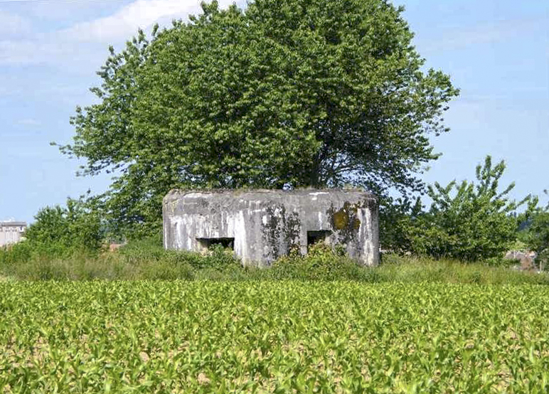 Ligne Maginot - B627 - PONT D'ALLANT NORD - (Blockhaus pour canon) - 