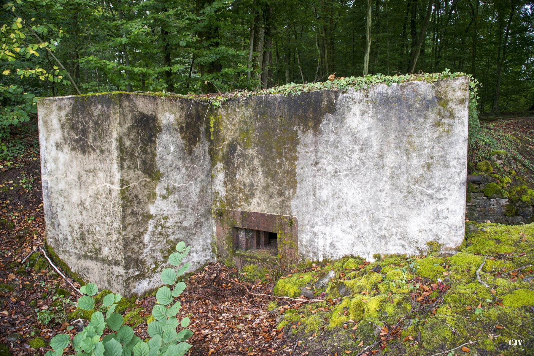 Ligne Maginot - HUBERBUSCH 1 - (Blockhaus pour arme infanterie) - 