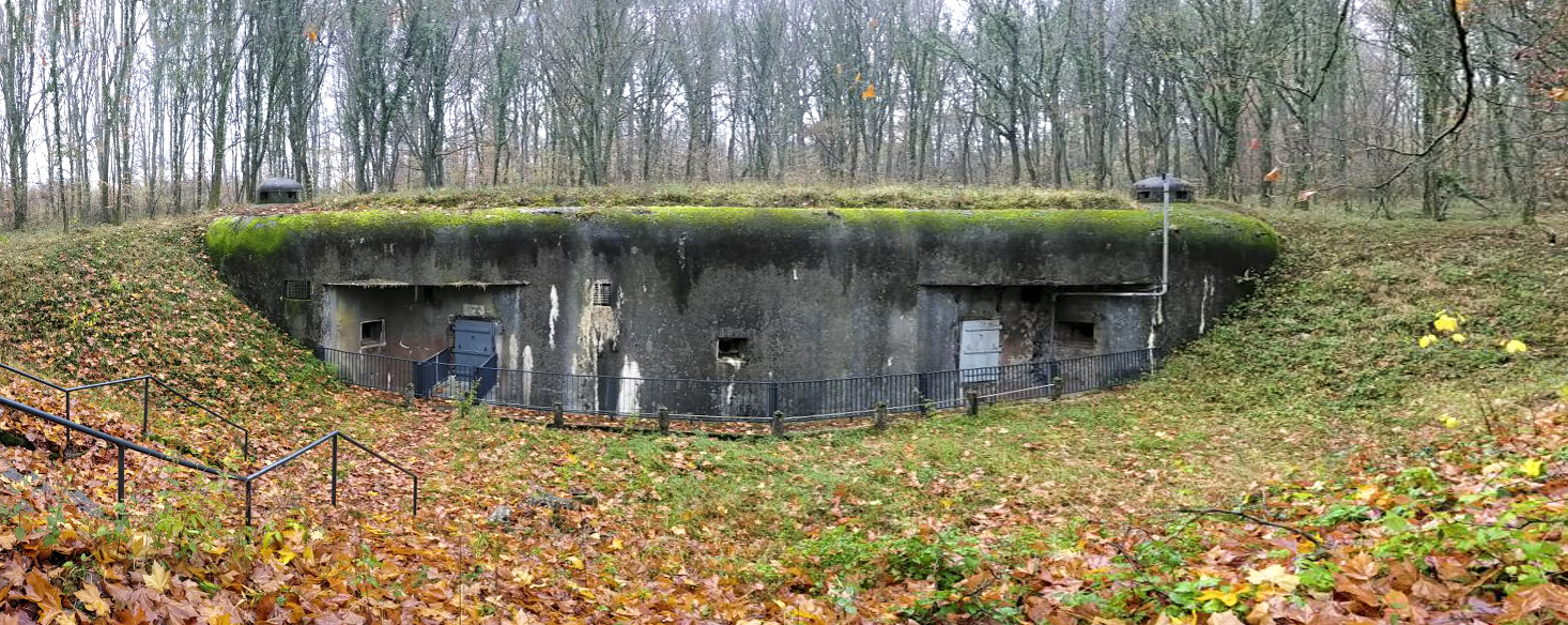 Ligne Maginot - BOIS DE CATTENOM - X14 - (Abri) - Vue générale de l'abri.
