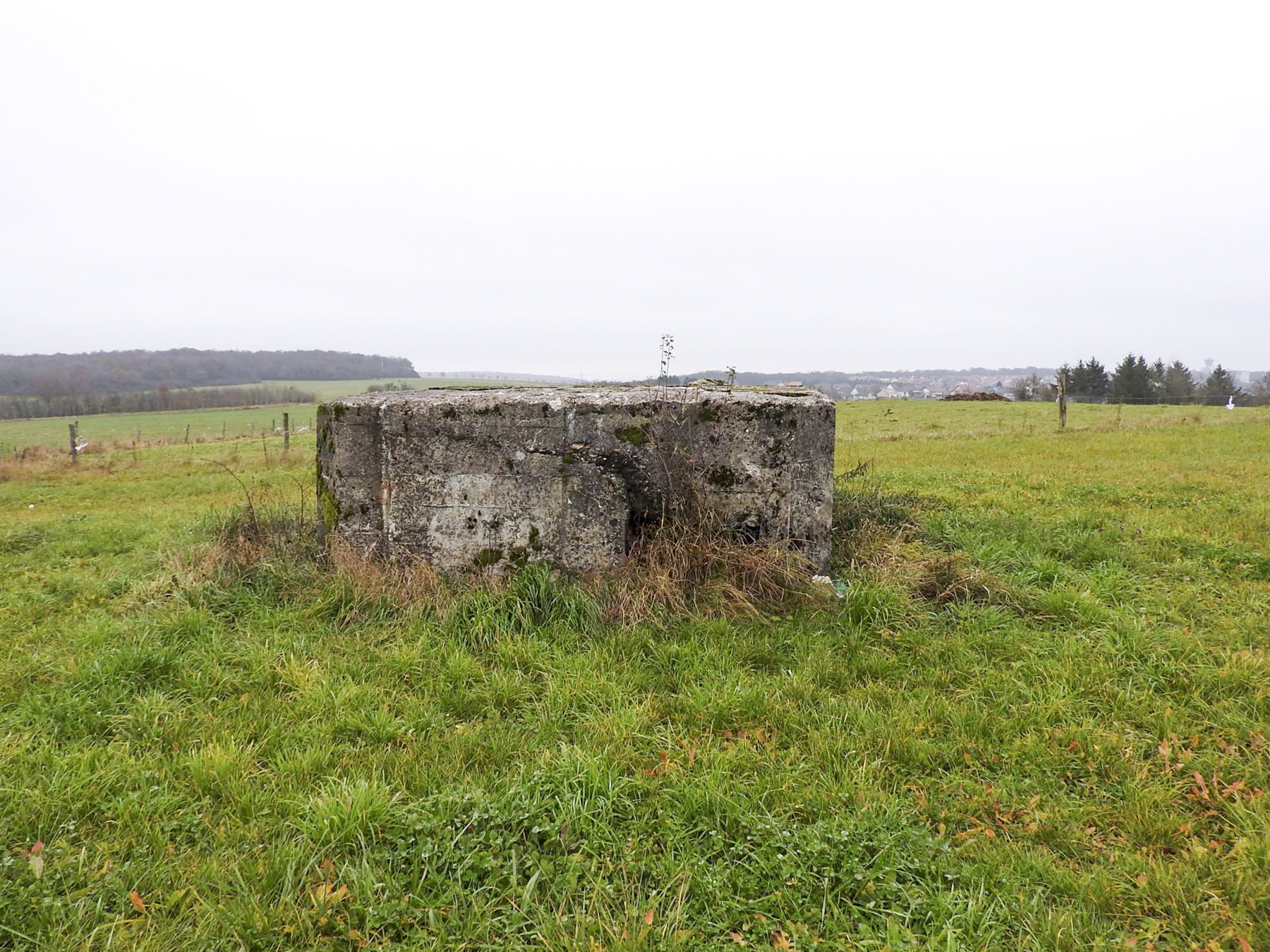Ligne Maginot - MAYERSBUSCH 2 - (Blockhaus pour arme infanterie) - Le côté de l'entrée remblayée.