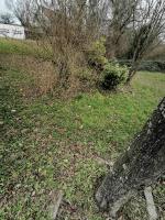Ligne Maginot - B585 - KEMBS LOECHLE 8 - (Blockhaus pour arme infanterie) - L'emplacement probable du blockhaus, sous les plantes. 